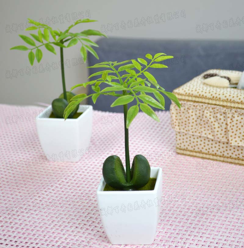 成都植物租摆