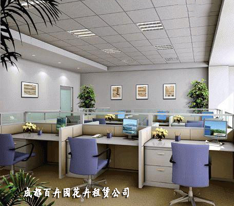 成都花卉租赁公司 成都花卉租赁公司