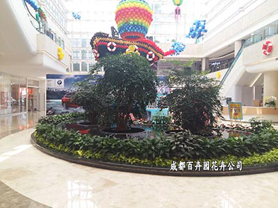室内租摆盆栽植物真的好还是假盆栽植物好? 室内租摆盆栽植物真的好还是假盆栽植物好?