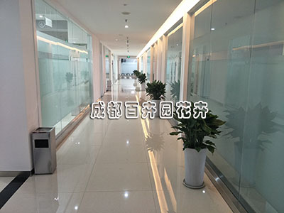成都植物租赁