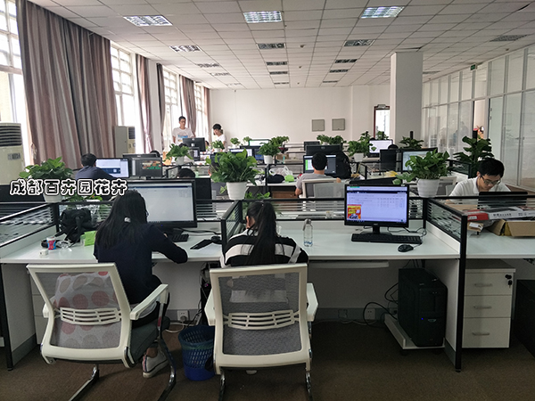 某公司办公室花卉租摆案例及摆放设计方案 某公司办公室花卉租摆案例及摆放设计方案