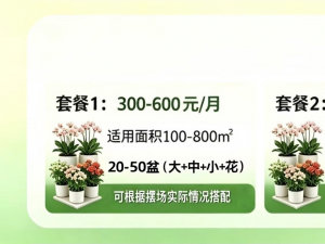 首页服务套餐