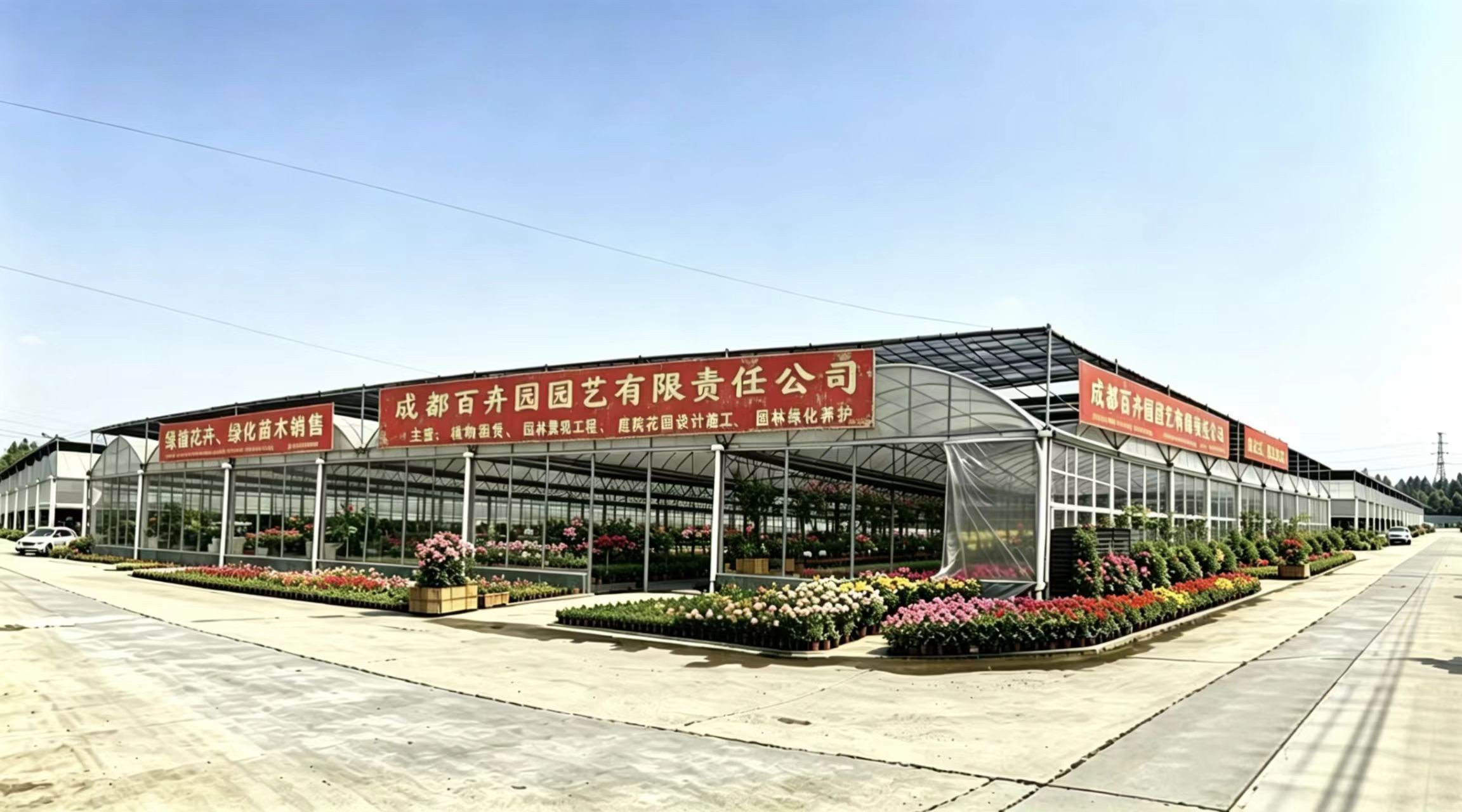 花卉基地