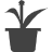 植物租赁