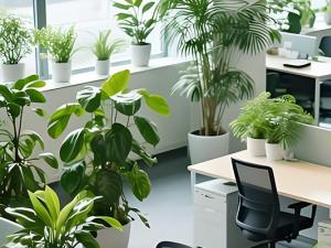 植物租赁