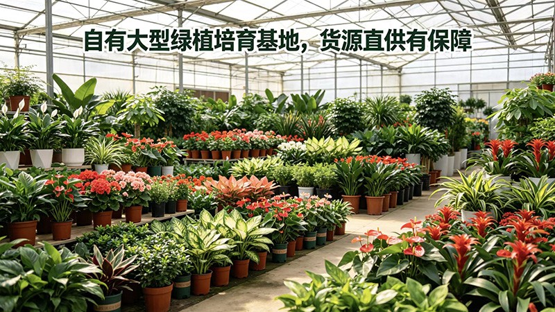 绿植销售