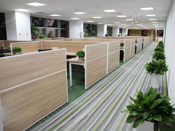 成都办公室植物租赁方案的实景案例分享