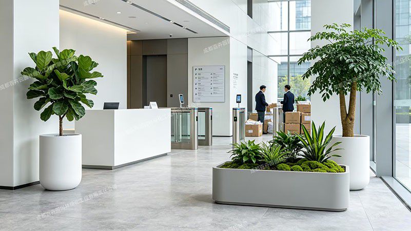 办公室绿植租摆2 拷贝