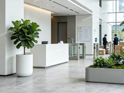 写字楼办公室植物租摆实景案例