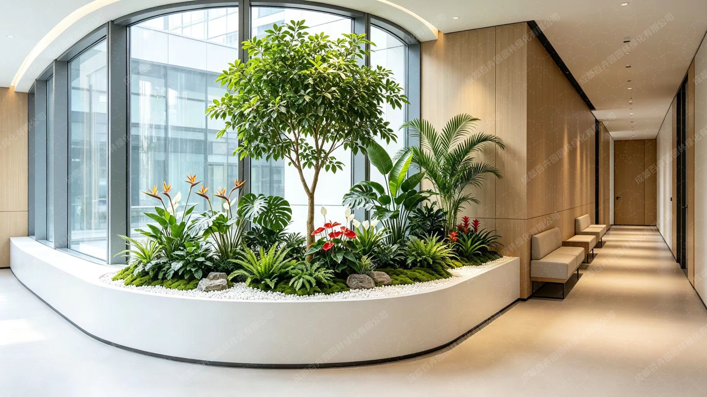 植物组景1