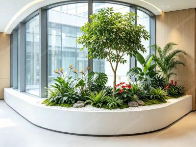 植物租赁方案-办公室植物造景案例