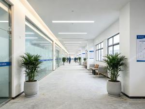 厂区盆栽绿植租摆案例