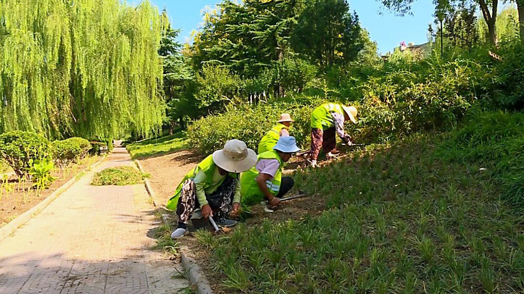 庭院景观市场持续升温，低维护花园成为业主新偏好