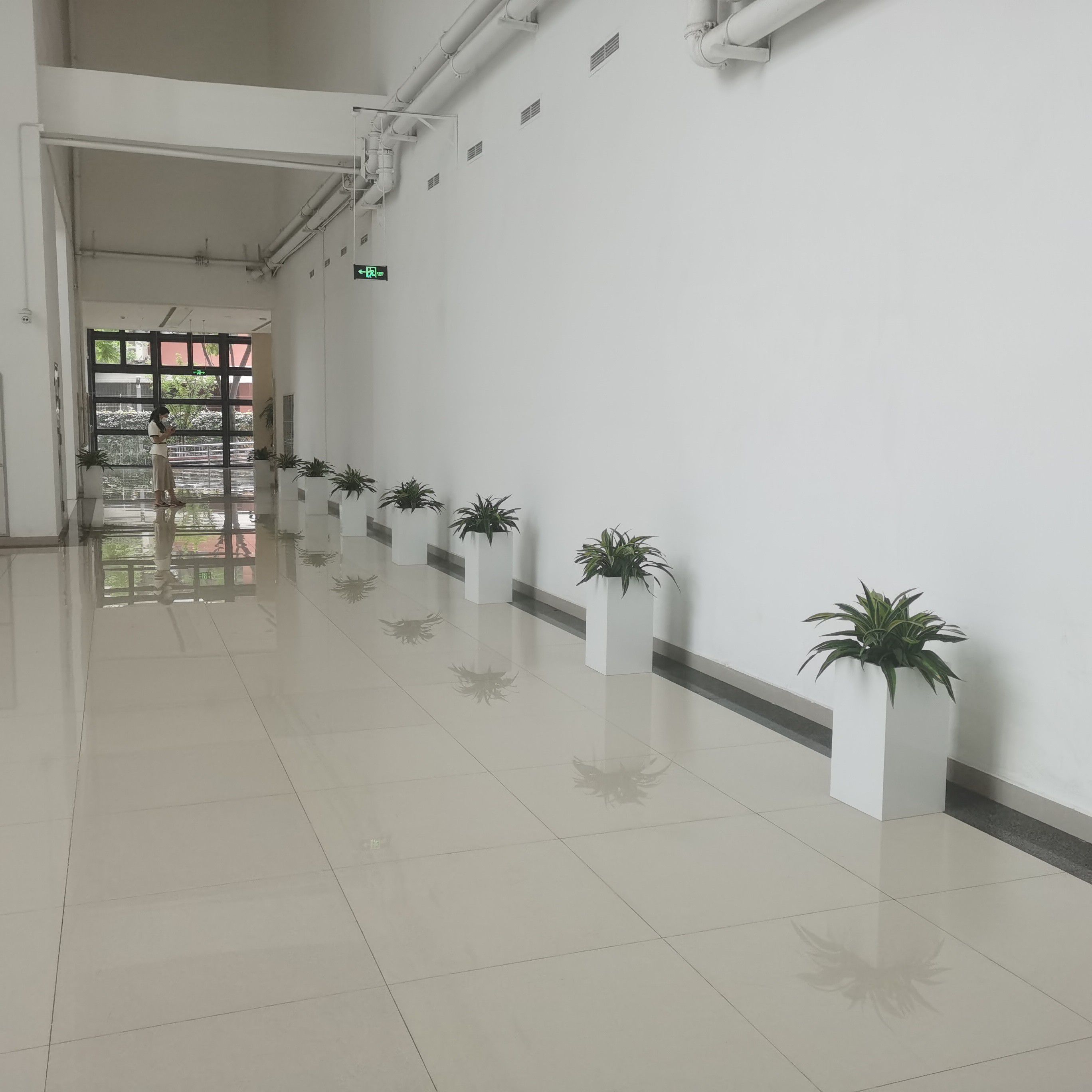 室内绿植软装兴起，绿植租赁成为商业空间绿化主流方案