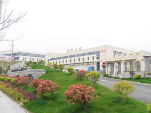 苗木市场行情简析，绿化工程选苗要兼顾品质与适配性