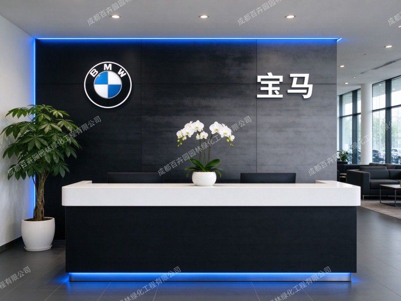汽车4S店植物租赁9 (1)